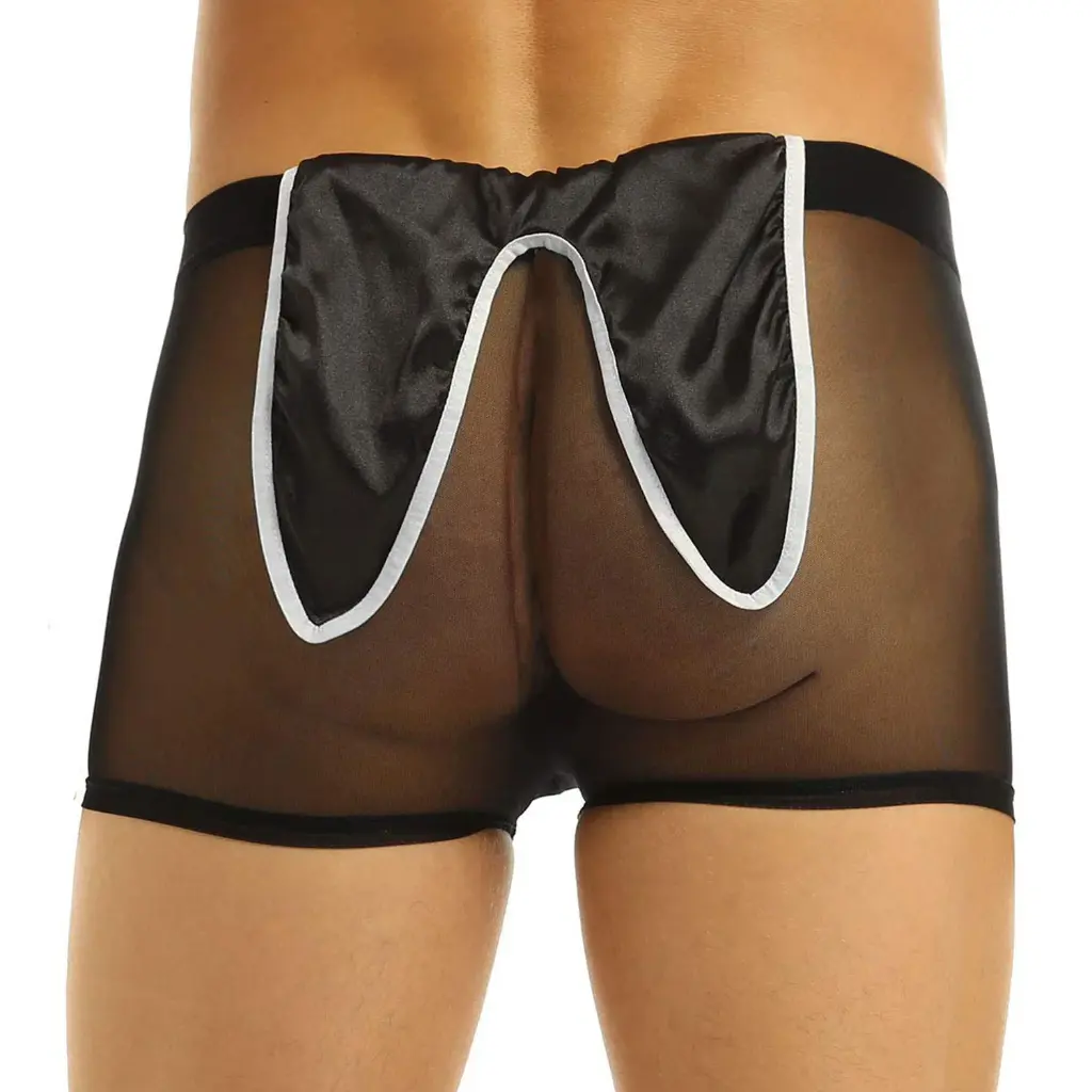 Costume Underwear ML-07904