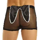 Costume Underwear ML-07904