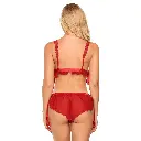 See Through Lingerie Set LS-06040