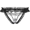 Erotic Panty - EPN-04570