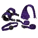 Bondage Kit-01200