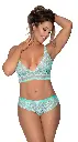 Deep Neck Lingerie Set LS-06147