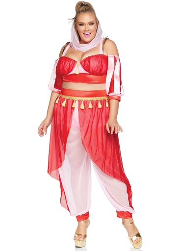 Arabian Nights Erotic Costume EC-00812